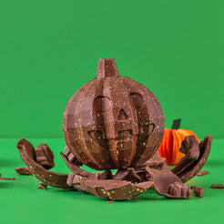Milk Chocolate Pumpkin with bugs inside – view 5
