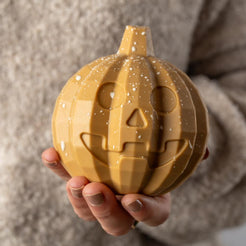 Blonde Caramel Chocolate Pumpkin with bugs inside – view 3