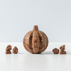 Milk Chocolate Pumpkin with bugs inside – view 2