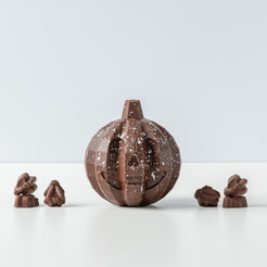 Dark Chocolate Pumpkin with bugs inside (vf) – view 2