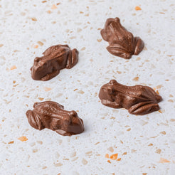 Milk Chocolate Chorus of Frogs – view 3