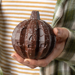 Dark Chocolate Pumpkin with bugs inside (vf) – view 3