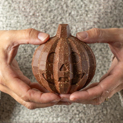 Milk Chocolate Pumpkin with bugs inside – view 4