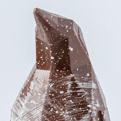 Oat M!lk Chocolate Penguin (vf) – view 3