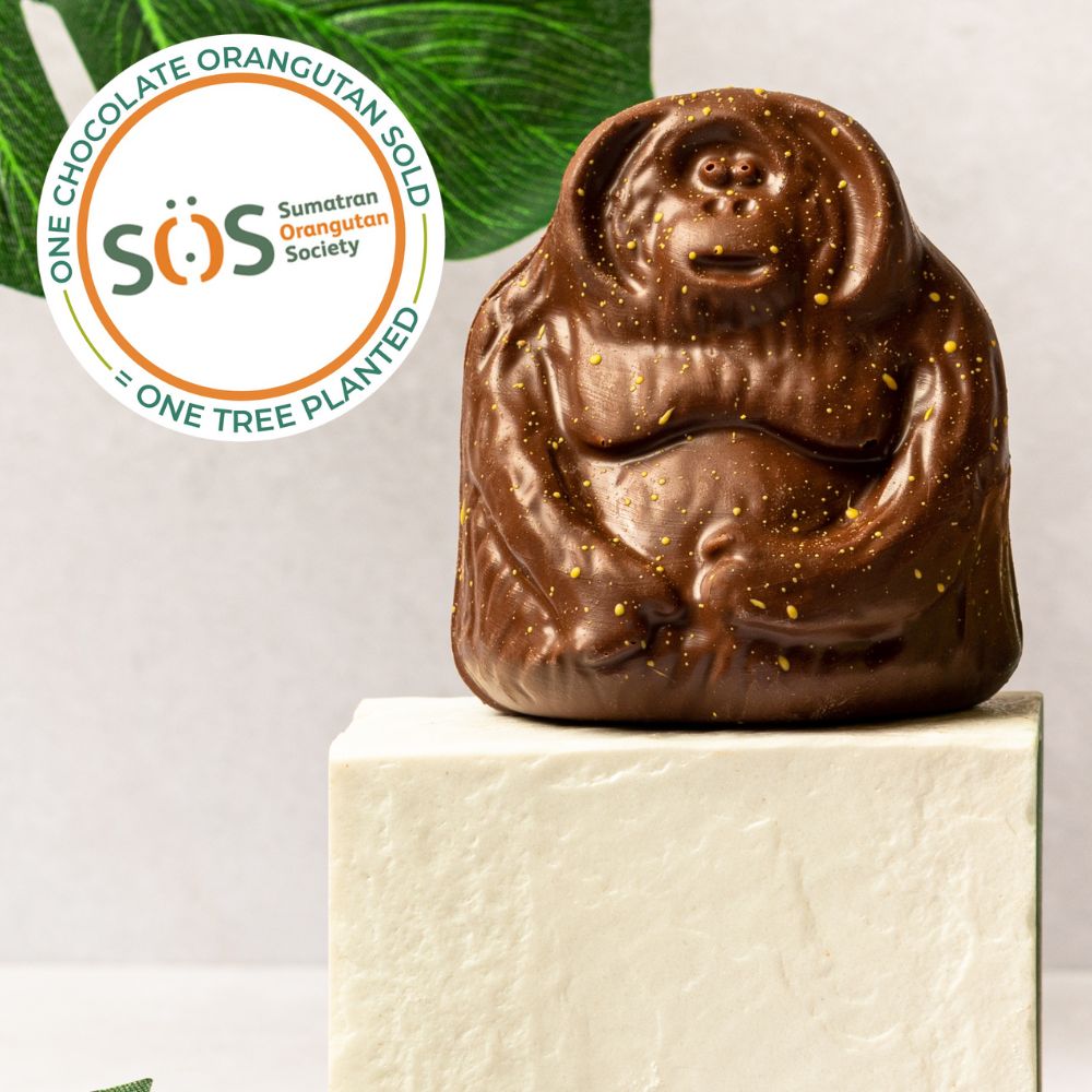 Tuan the Orangutan to support SOS – view 2