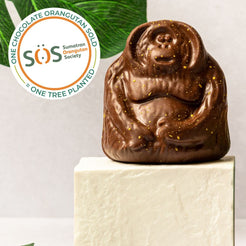 Tuan the Orangutan to support SOS – view 2